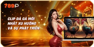 Clip đá gà mới nhất Xu hướng và sự phát triển